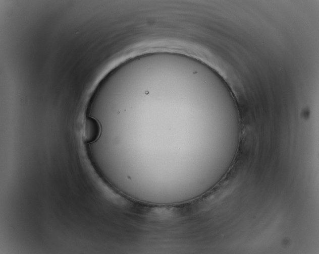 X0000103941523200809261714