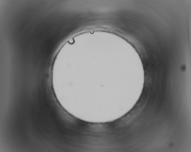 X0000103941524200809261714