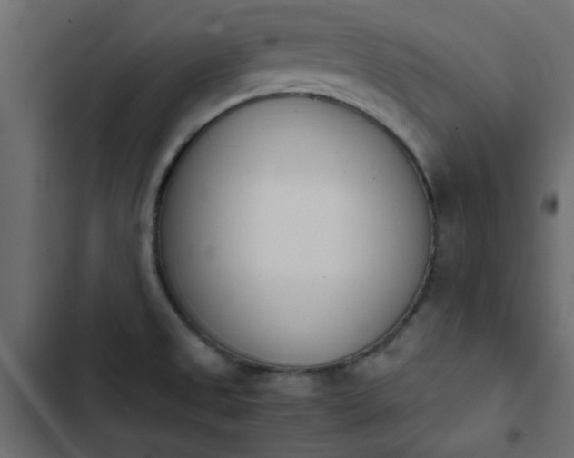 X0000103941525200809261714