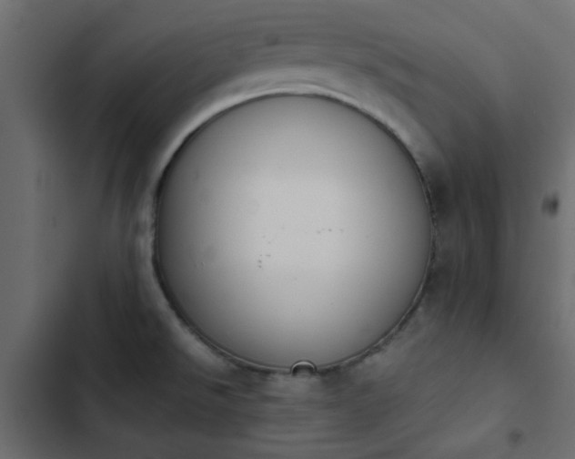 X0000103941526200809261714