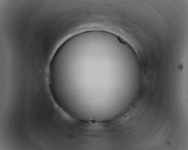 X0000103941527200809261714