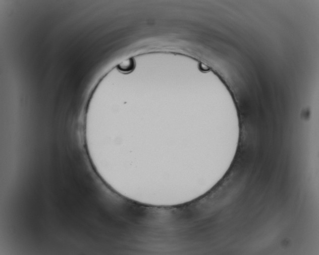 X0000103941528200809261714