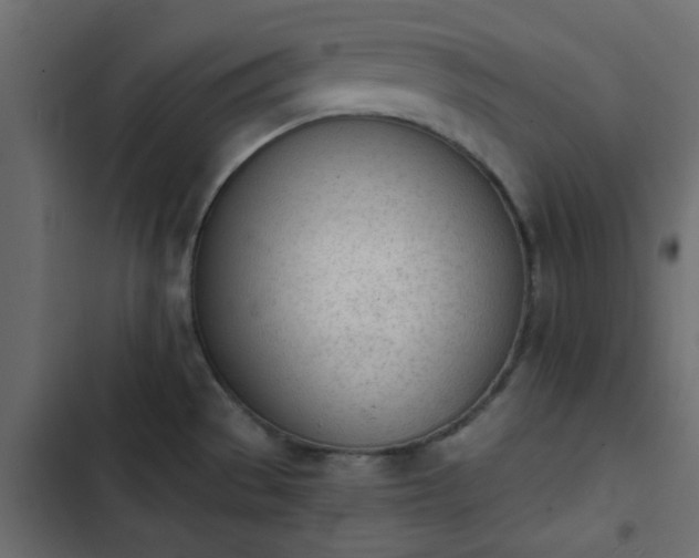 X0000103941529200809261714
