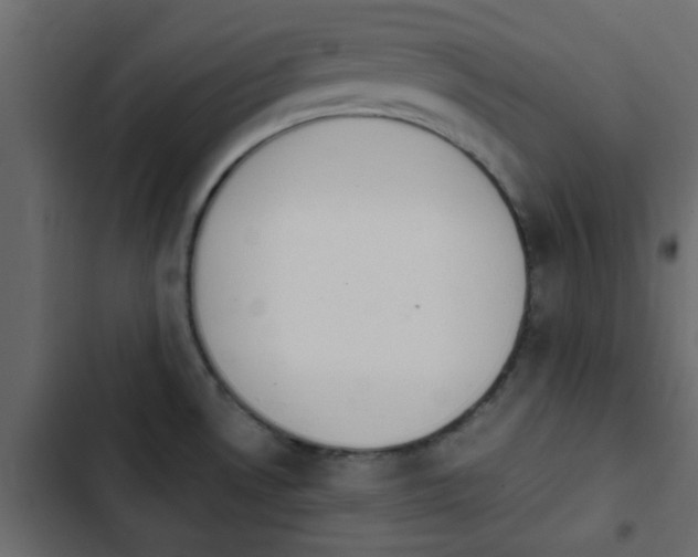 X0000103941530200809261714