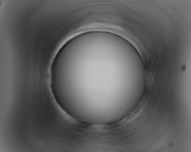 X0000103941531200809261714