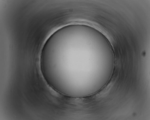 X0000103941533200809261714