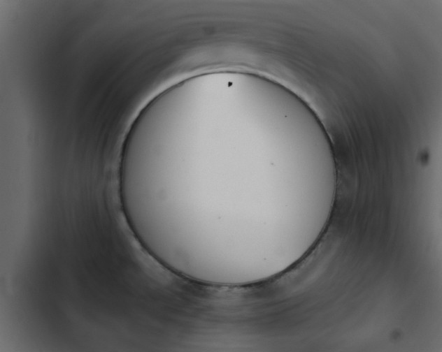 X0000103941534200809261714