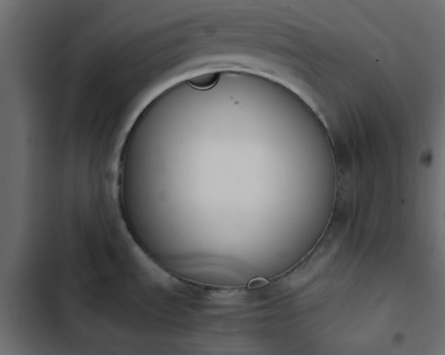 X0000103941535200809261714