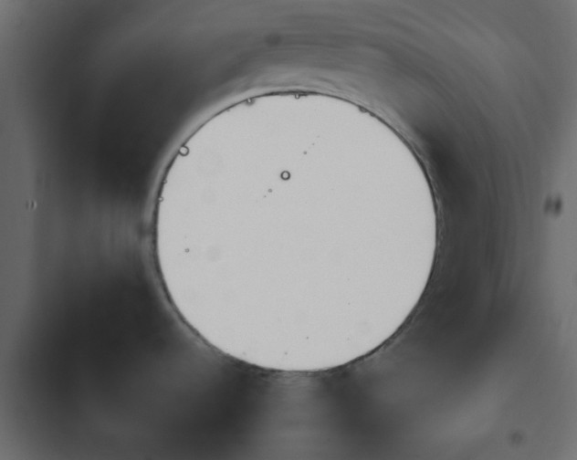X0000103941536200809261714