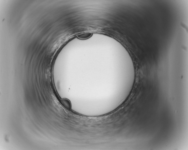 X0000103940002200810031333