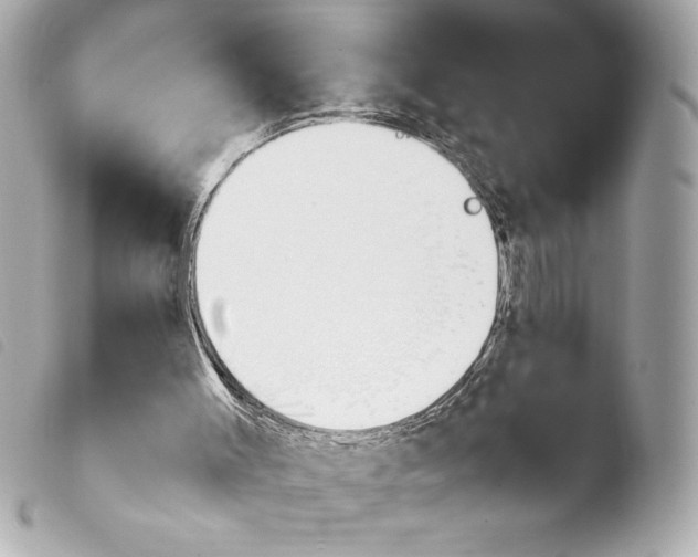 X0000103940003200810031333