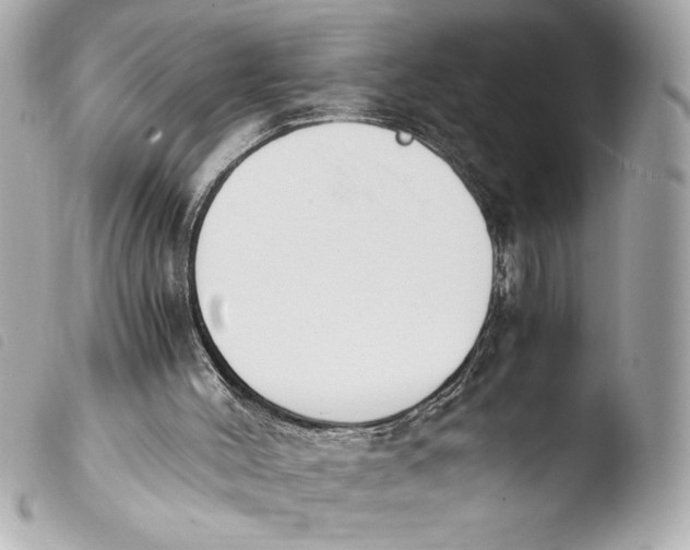 X0000103940004200810031333