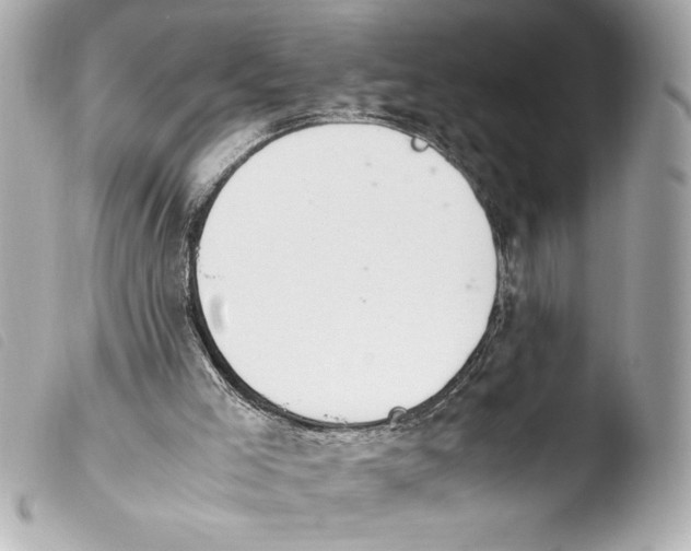 X0000103940005200810031333