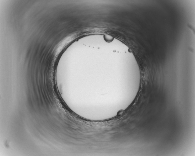 X0000103940006200810031333