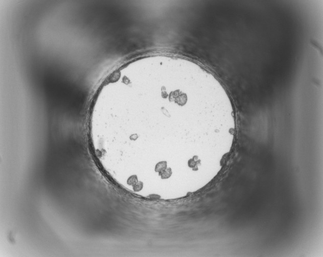 X0000103940007200810031333