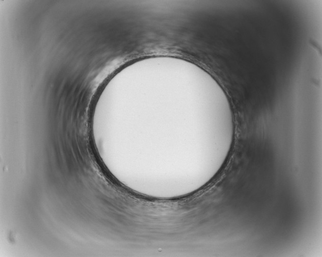 X0000103940008200810031333