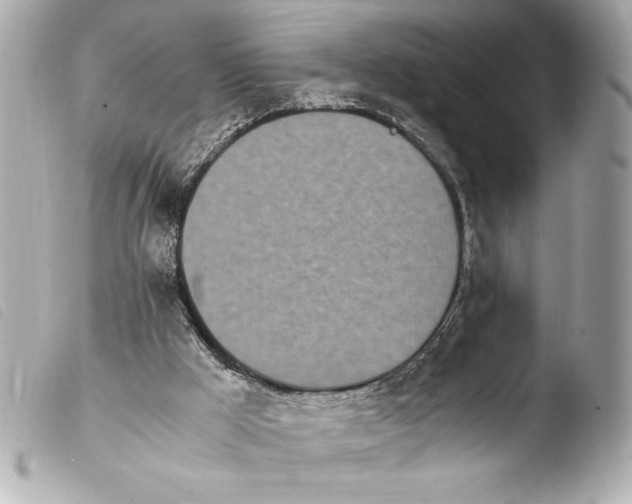 X0000103940009200810031333