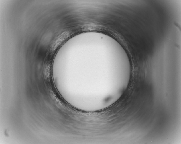 X0000103940010200810031333