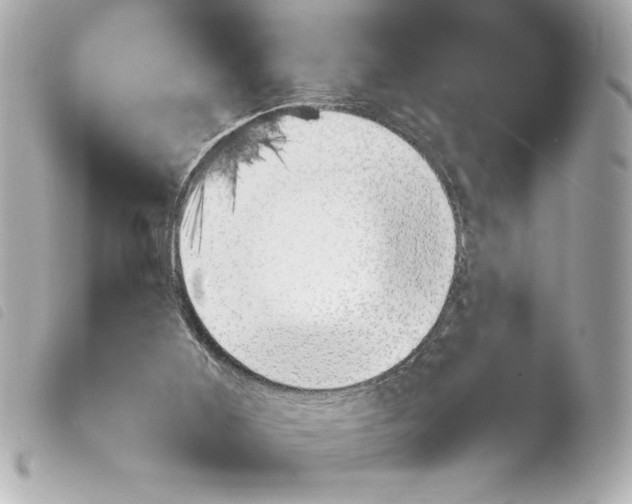 X0000103940011200810031333