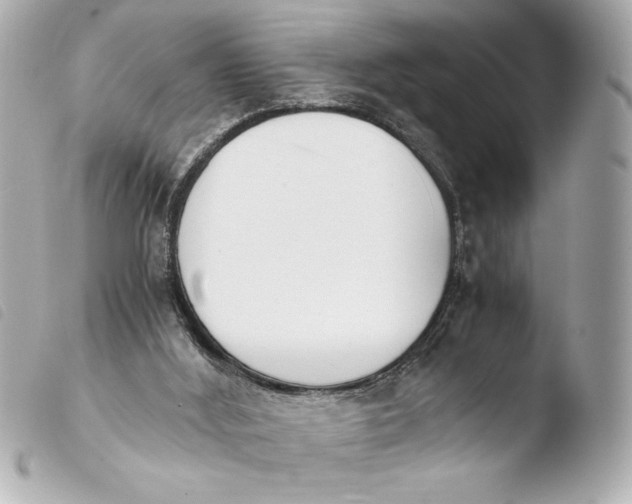 X0000103940012200810031333