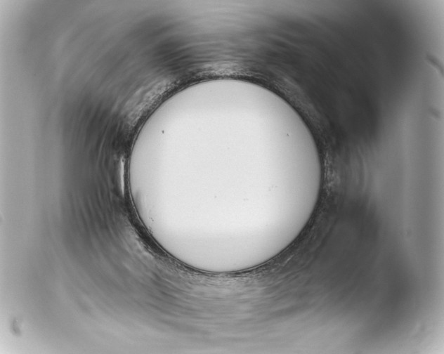 X0000103940014200810031333