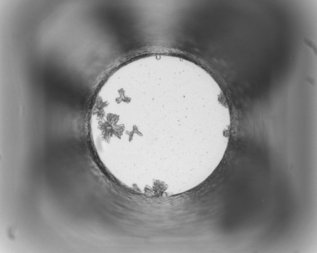 X0000103940015200810031333