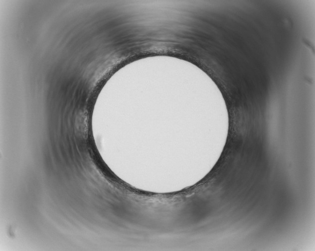 X0000103940016200810031333