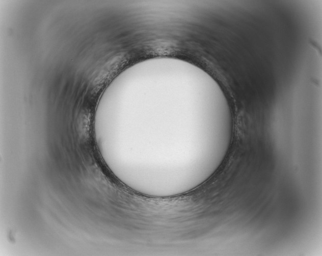 X0000103940018200810031333