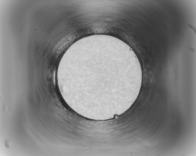 X0000103940019200810031333