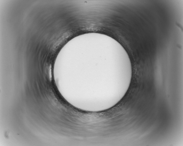 X0000103940020200810031333