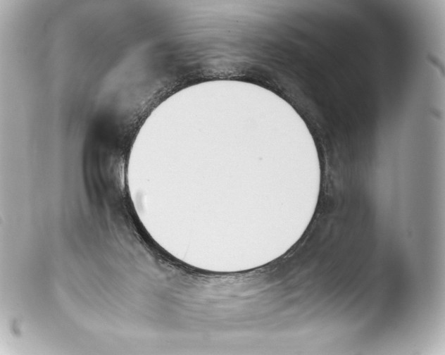 X0000103940021200810031333