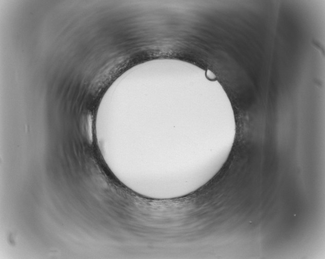 X0000103940022200810031333