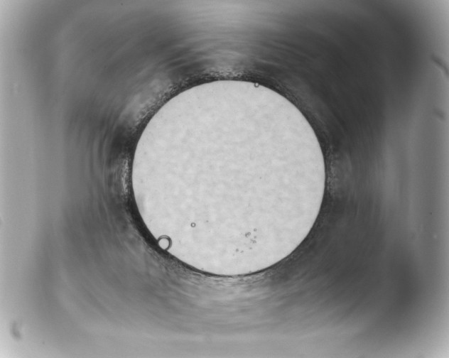 X0000103940023200810031333