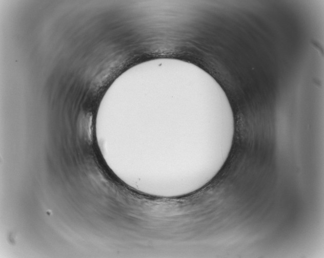 X0000103940024200810031333