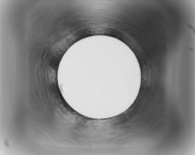 X0000103940025200810031333