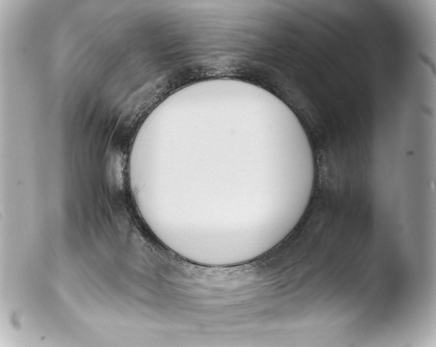 X0000103940026200810031333