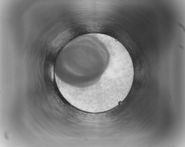 X0000103940027200810031333