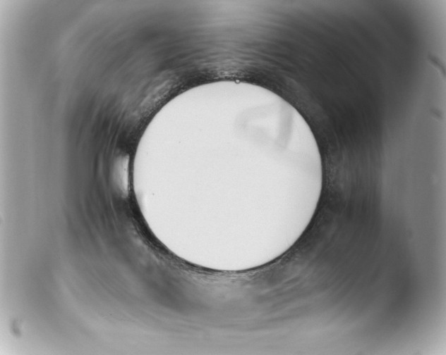 X0000103940028200810031333