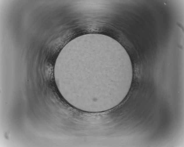 X0000103940029200810031333