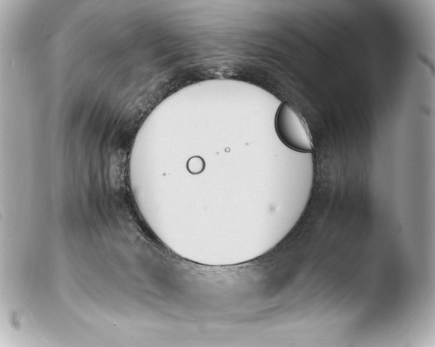 X0000103940030200810031333