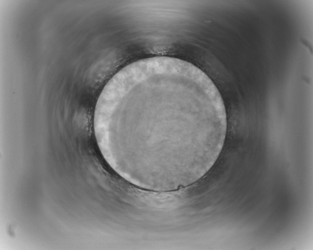 X0000103940031200810031333