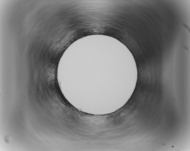 X0000103940032200810031333