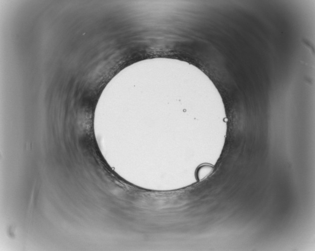 X0000103940033200810031333