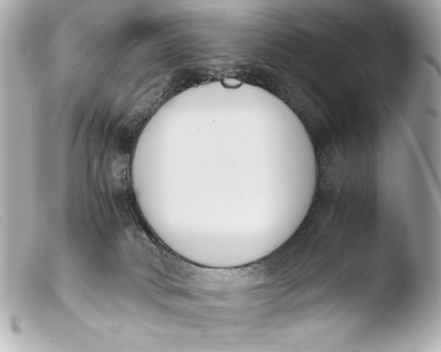 X0000103940034200810031333