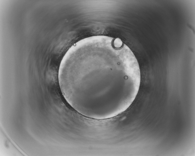 X0000103940035200810031333