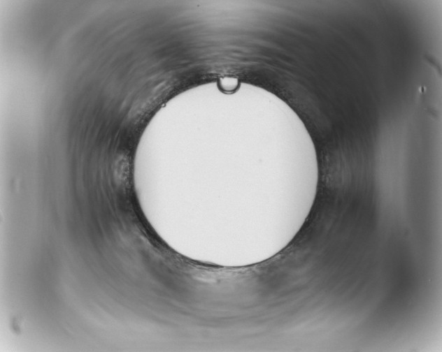 X0000103940036200810031333