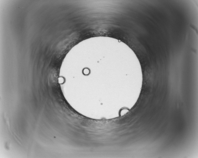 X0000103940037200810031333