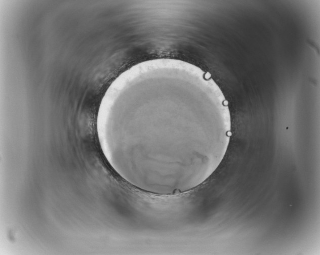 X0000103940039200810031333