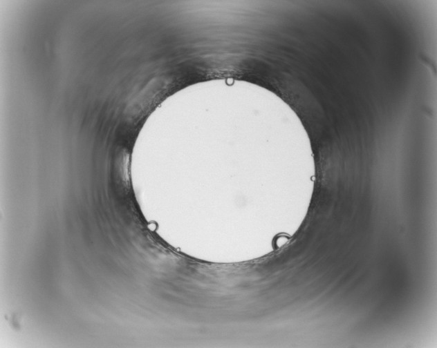 X0000103940041200810031332