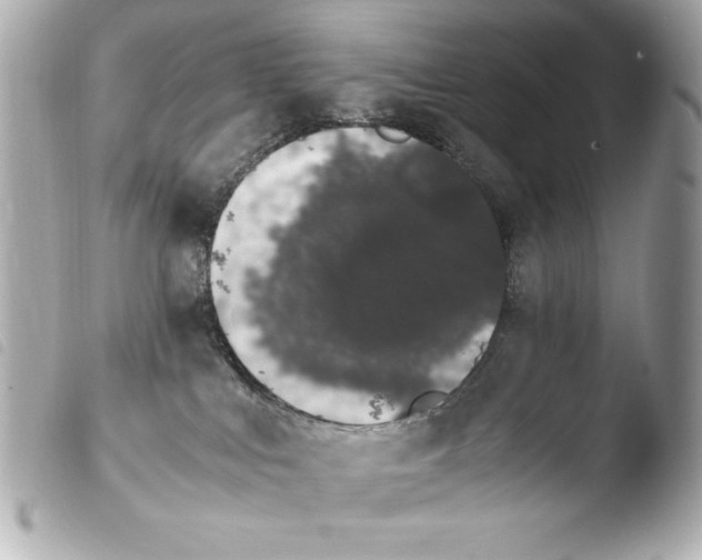 X0000103940043200810031332